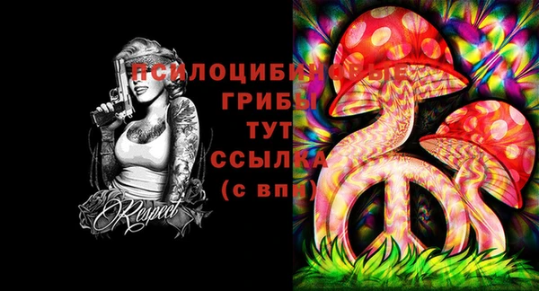 кокс Алексеевка